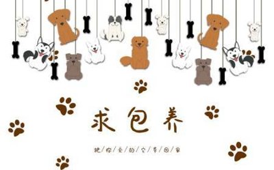 Tải file gốc File tranh gốc tổng hợp tranh dán nền tường đẹp K92075 (in tráng gương) cao cấpFile gốc File tranh gốc tổng hợp tranh dán nền tường đẹp K92075 (in ấn) phiên bản độc quyền