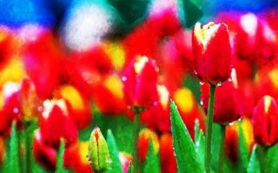 File in mica File tranh gốc tổng hợp tranh dán nền tường đẹp K92475 (bản gốc) siêu trong