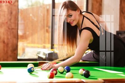 File tranh File gốc in tranh tổng hợp K9343 (file gốc) chủ đề phong thủy