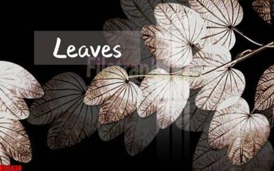 Chi tiết file ảnh File tranh gốc tổng hợp tranh nền tường đẹp K93830 sắc nét