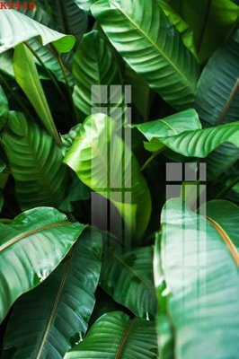 File PSD File gốc in tranh tổng hợp K9410 (gốc) nhiều lớp (multi-layer)