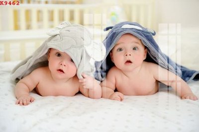 File tranh in trần 3D File gốc in tranh tổng hợp K9462 (ảnh gốc)