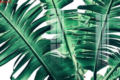 Tải file gốc File gốc in tranh tổng hợp K9476 (in tráng gương) 3DFile gốc File gốc in tranh tổng hợp K9476 (sẵn sàng in) chất lượng cao