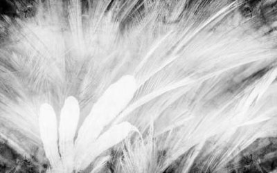 Tải file PSD File tranh gốc tổng hợp tranh nền tường đẹp K95122 (nguyên layer) để in