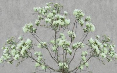 File in lụa File tranh gốc tổng hợp tranh nền tường đẹp K95647 (chất lượng cao) File tranh gốc tổng hợp tranh nền tường đẹp K95647