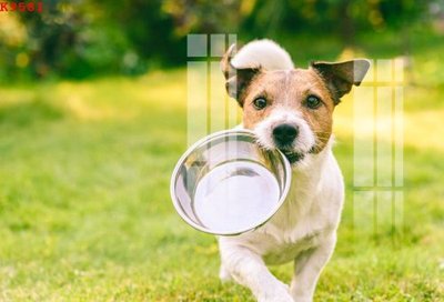 File in ấn chuyên nghiệp File gốc in tranh tổng hợp K9581 (file gốc)