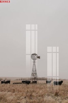 File ảnh File gốc in tranh tổng hợp K9903 (gốc) in quảng cáo ngoài trời