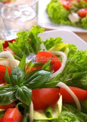 File in lụa File in kính bếp KB1056 (chất lượng cao) File in kính bếp KB1056