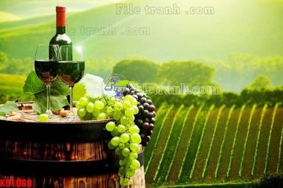 File in ấn File in kính bếp KB1089 (bản gốc) chất lượng cao