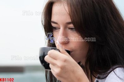 Chi tiết file tranh tráng gương File in kính bếp KB1102 (ảnh gốc)