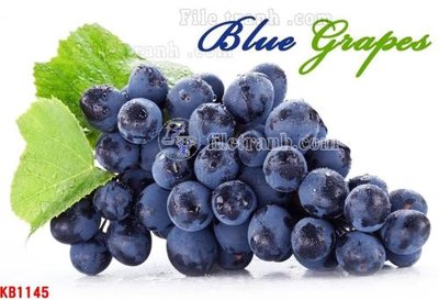 File tranh File in kính bếp KB1145 (gốc) in backlit film