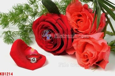 File gốc File in kính bếp KB1214 (in 3D) cho trang trí