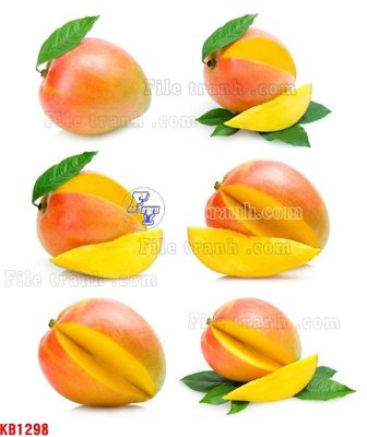 File tranh File in kính bếp KB1298 (ảnh gốc) in trần nhà