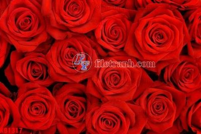 Tải file tranh gốc File in kính bếp KB1317 chất lượng cao