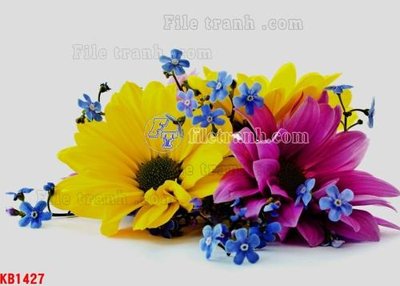 File PSD File in kính bếp KB1427 (gốc) cho designer