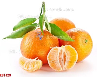 File PSD File in kính bếp KB1429 (bản gốc) cho nhà in