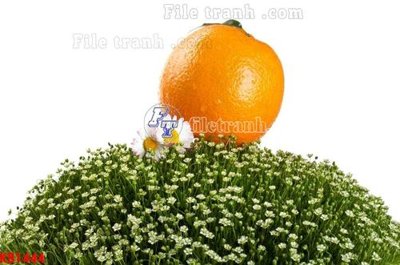 Tải file File in kính bếp KB1444 (gốc) chủ đề phong thủy