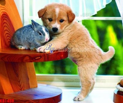 File PSD File in kính bếp KB1459 (bản gốc) dễ dàng edit