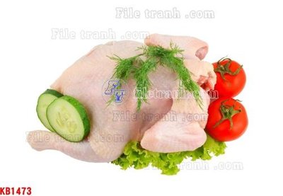 Download file File in kính bếp KB1473 (gốc) in mica ốp bếp