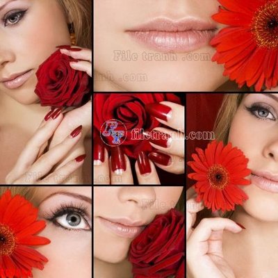 Tải file gốc File in kính bếp KB1514 (in tráng gương) siêu đẹpFile tranh gốc File in kính bếp KB1514 chất lượng cao