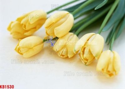 File in trần File in kính bếp KB1530 (bản gốc 3D) sống động