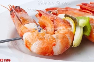 Download file gốc File in kính bếp KB1569 (in mica) trong suốt