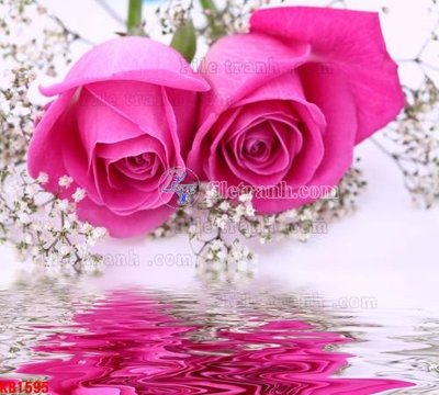 Tải file File in kính bếp KB1595 (gốc) chủ đề hoa sen