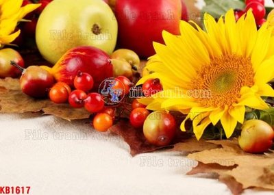 File ảnh File in kính bếp KB1617 (gốc) in standee