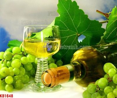 File in lụa File in kính bếp KB1648 (hoa văn) File in kính bếp KB1648