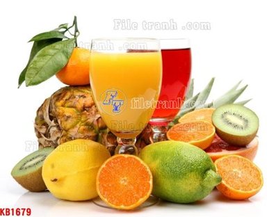 File in lụa File in kính bếp KB1679 (chất lượng cao) File in kính bếp KB1679