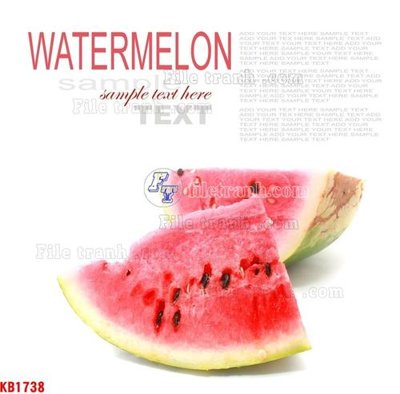 File in trần File in kính bếp KB1738 (bản gốc) 5D