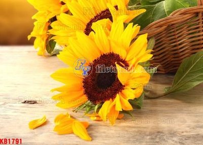 Tệp tin gốc File in kính bếp KB1791 (dùng cho in) File in kính bếp KB1791