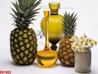 File gốc File in kính bếp KB1803 (thiết kế) độc quyền