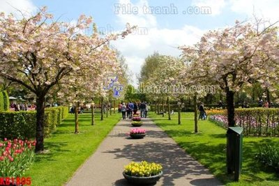 Tải file File in kính bếp KB1805 (ảnh gốc) in gạch 3D