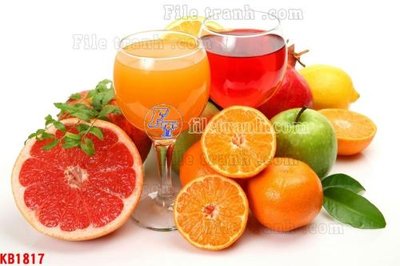 File gốc File in kính bếp KB1817 (in lụa) cao cấp