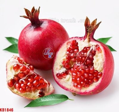 File in lụa File in kính bếp KB1846 (chất lượng cao) File in kính bếp KB1846