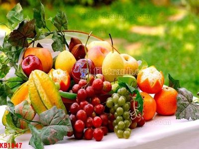 Tải file File in kính bếp KB1847 (gốc) để in ấn ngay