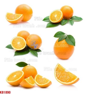 Tải file File in kính bếp KB1890 (ảnh gốc) in tranh kính