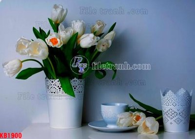 File in trần File in kính bếp KB1900 (bản gốc) 5D