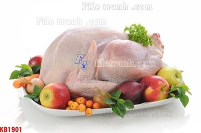 File PSD File in kính bếp KB1901 (gốc) cho designer