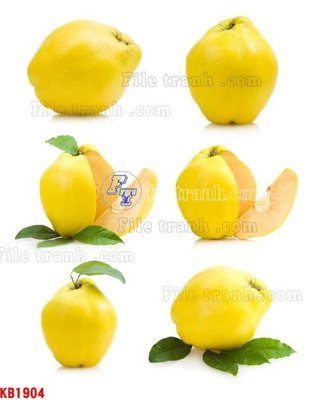 Tải file gốc File in kính bếp KB1904 (bản PSD) còn layer