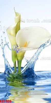 File gốc File in kính bếp KB1926 (PNG) chất lượng cao