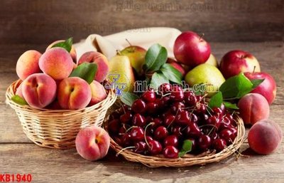 File gốc File in kính bếp KB1940 (vector) cho in ấn