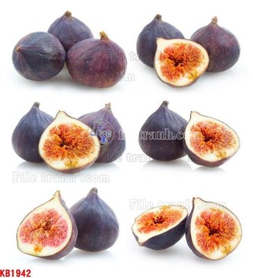 File tranh in trần File in kính bếp KB1942 (ảnh gốc siêu nét)