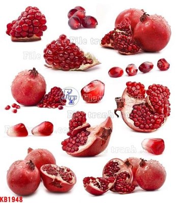 File in ấn File in kính bếp KB1948 (bản gốc) cao cấp