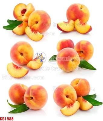 Download file gốc File in kính bếp KB1988 (in mica) trong suốt