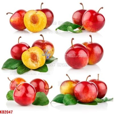 File tranh File in kính bếp KB2047 (gốc) in backlit film