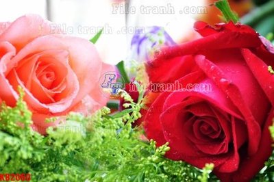 File tranh File in kính bếp KB2060 (bản gốc) treo quán cafe