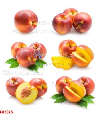 File tranh File in kính bếp KB2075 (ảnh gốc) chi tiết rõ ràng