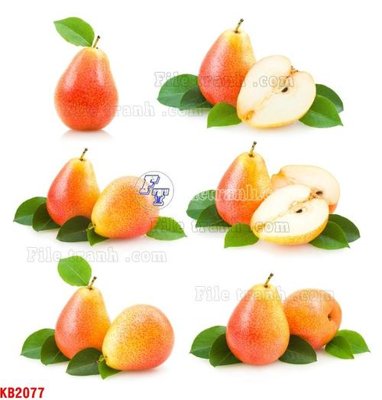 Ảnh gốc File in kính bếp KB2077 (độ nét cao) in tráng gương